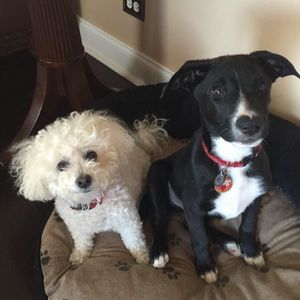 Meet your Posher, Charlene